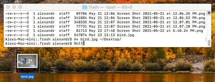 Recover Lost Data from iMac Pro