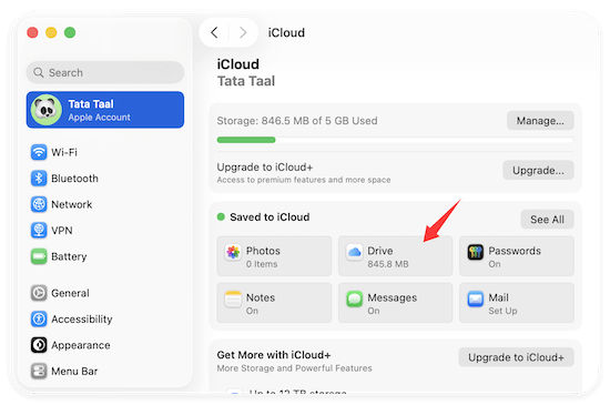 back up Mac data to iCloud