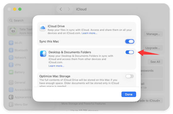 back up Mac data to iCloud