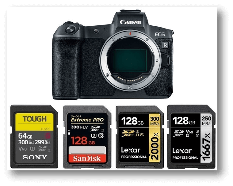 recover lost data from Canon Memory Card