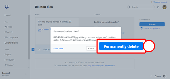 permanently delete text files