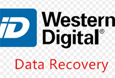 WD Data Recovery