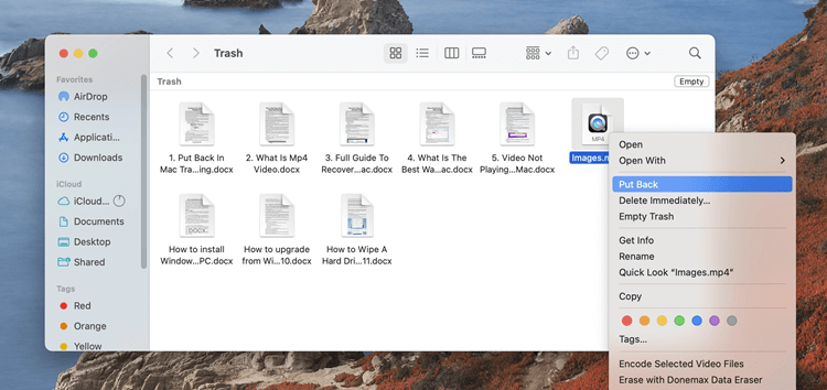 2024 Put Back Files from Mac Trash Bin Whether You ve Emptied