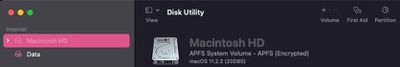 Erase M2 Mac