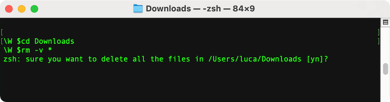 erase items in Downloads folder on Mac