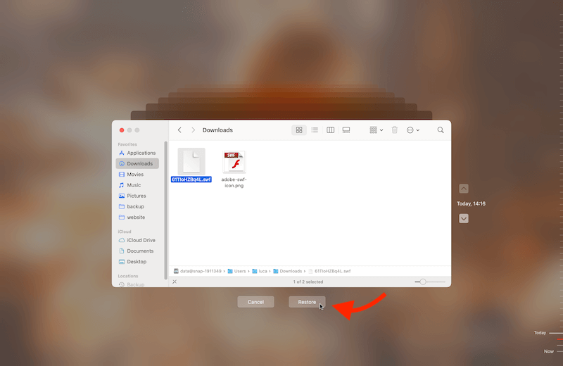recover lost SWF videos on Mac