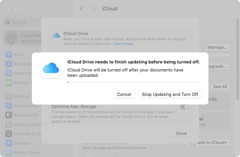 turn off iCloud drive on Mac